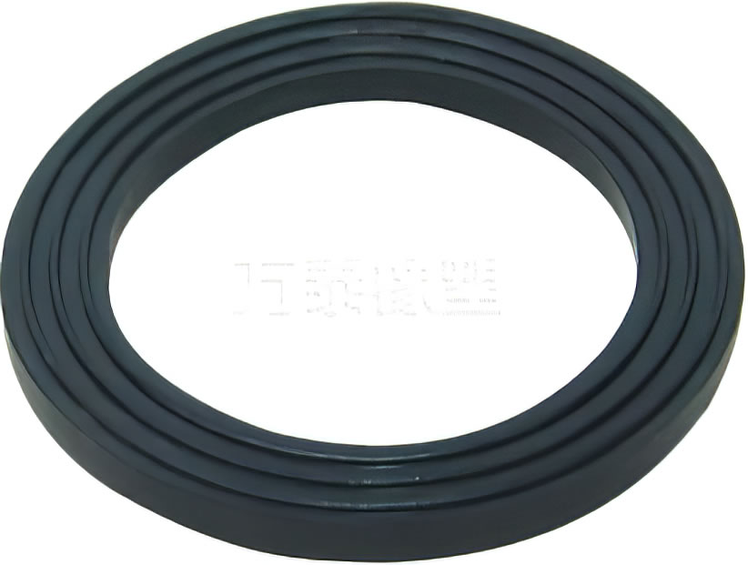 seal ring